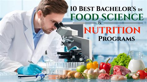 Colleges Offering a Nutrition Major .